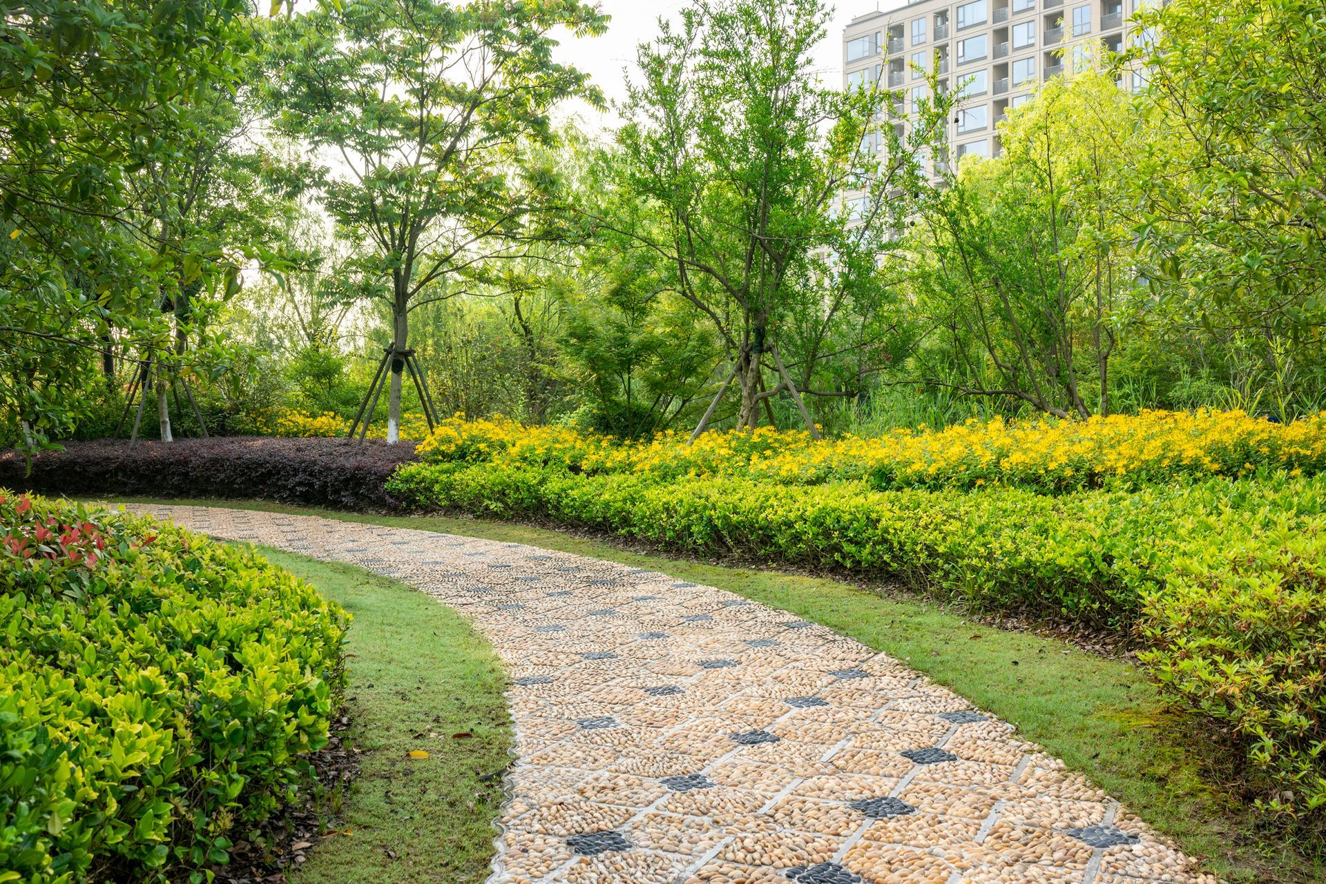 Serene Garden path with lush greenery and yellow flowers in a residential area.