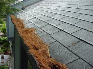 Roof Gutter Full Of  Dried Leaves — Baton Rouge, LA — Pioneer Gutters