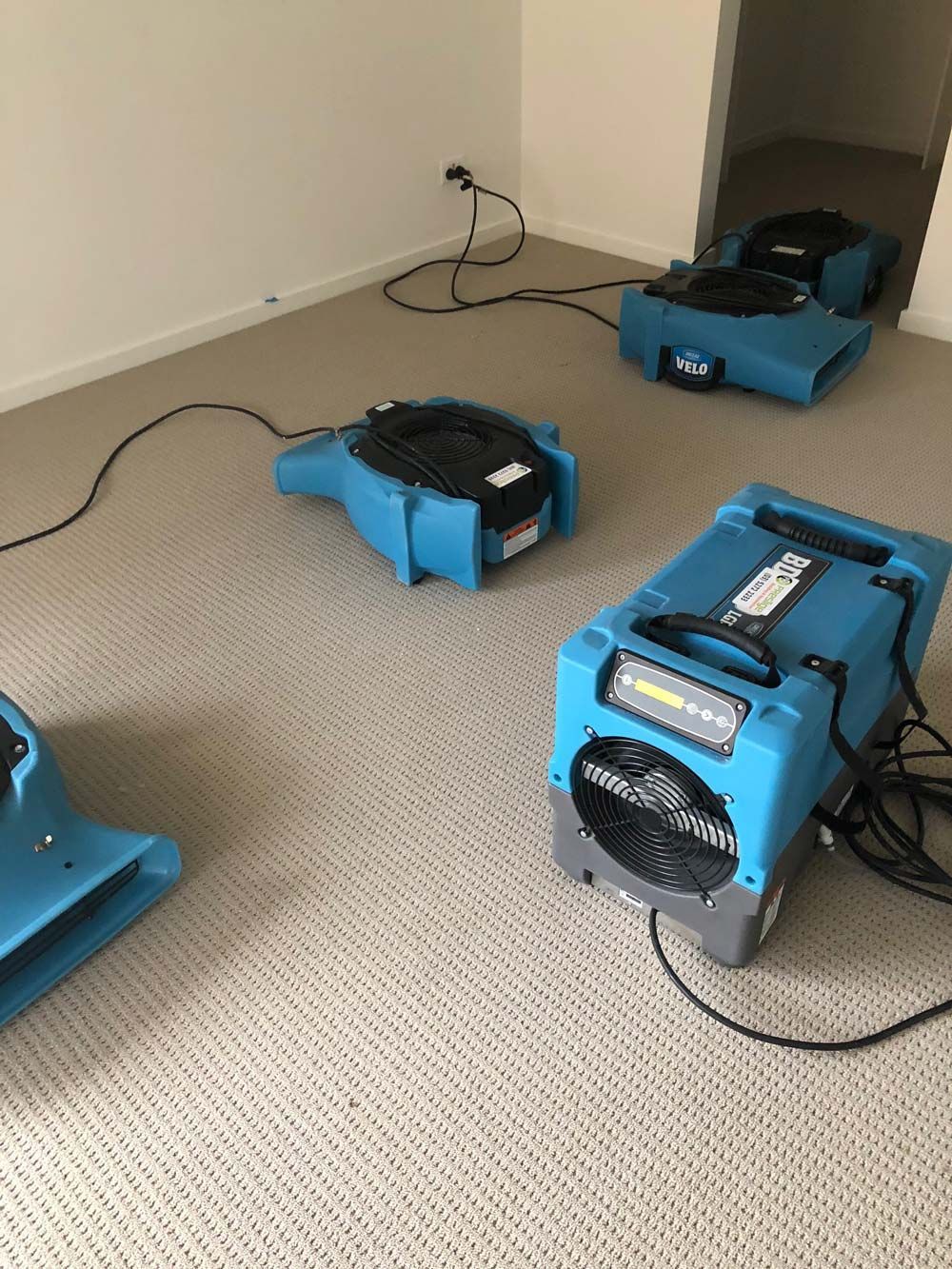 Blue Anti-Pest Equipment | Geelong, Vic | Scientific Mould Experts