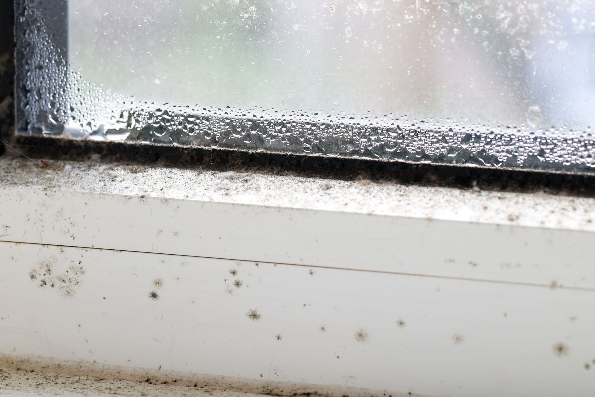 Close-up of double-glazed window condensation with black mould caused by excessive moisture.