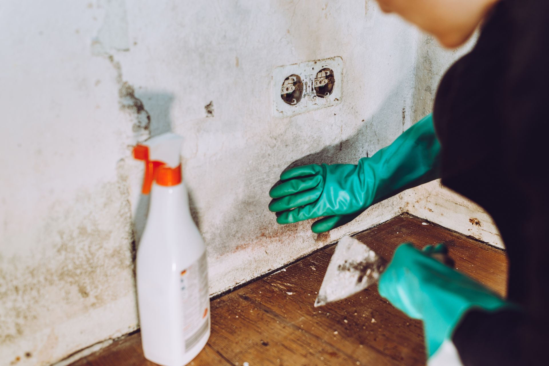 A woman removing mould from a wall using a spatula and chlorine.