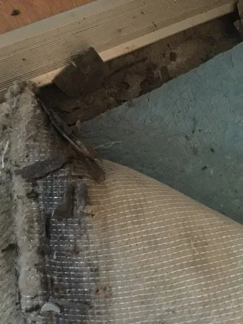 Mould on the Wood | Geelong, Vic | Scientific Mould Experts