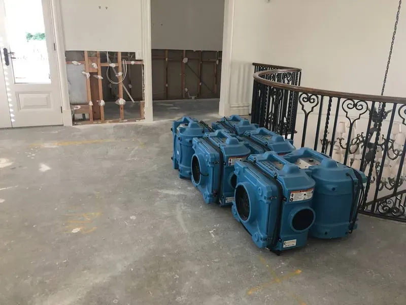 Mould Removal and Equipment | Geelong, Vic | Scientific Mould Experts