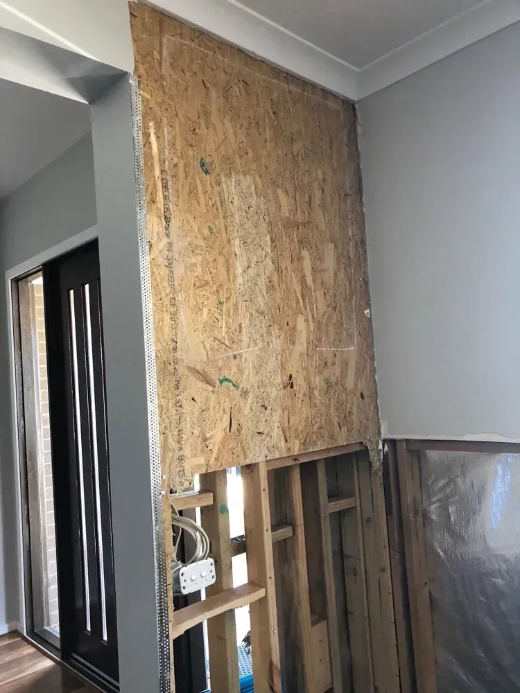 Pests on the Wall | Geelong, Vic | Scientific Mould Experts