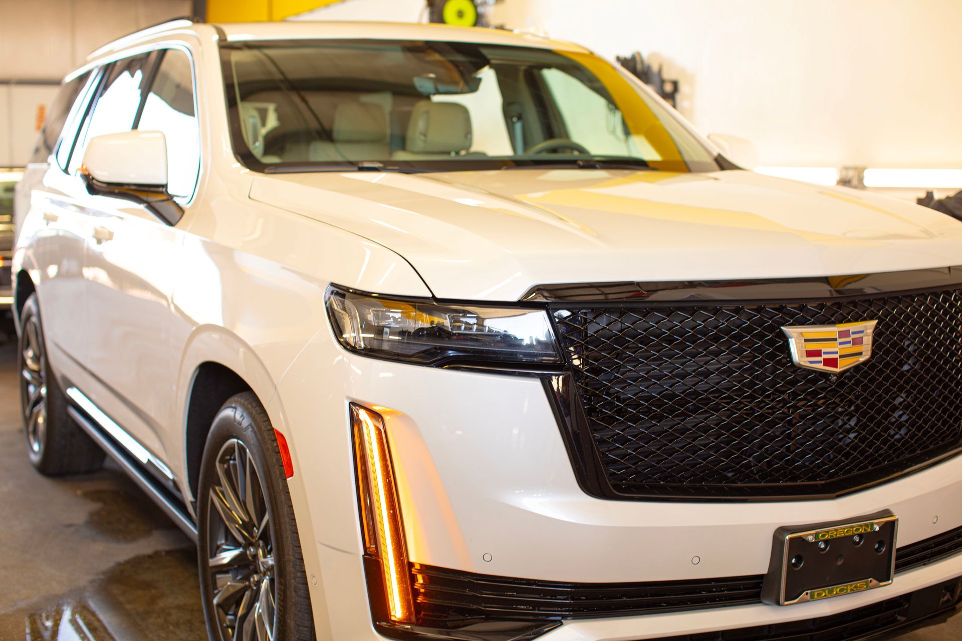 A white cadillac escalade is parked in a showroom.