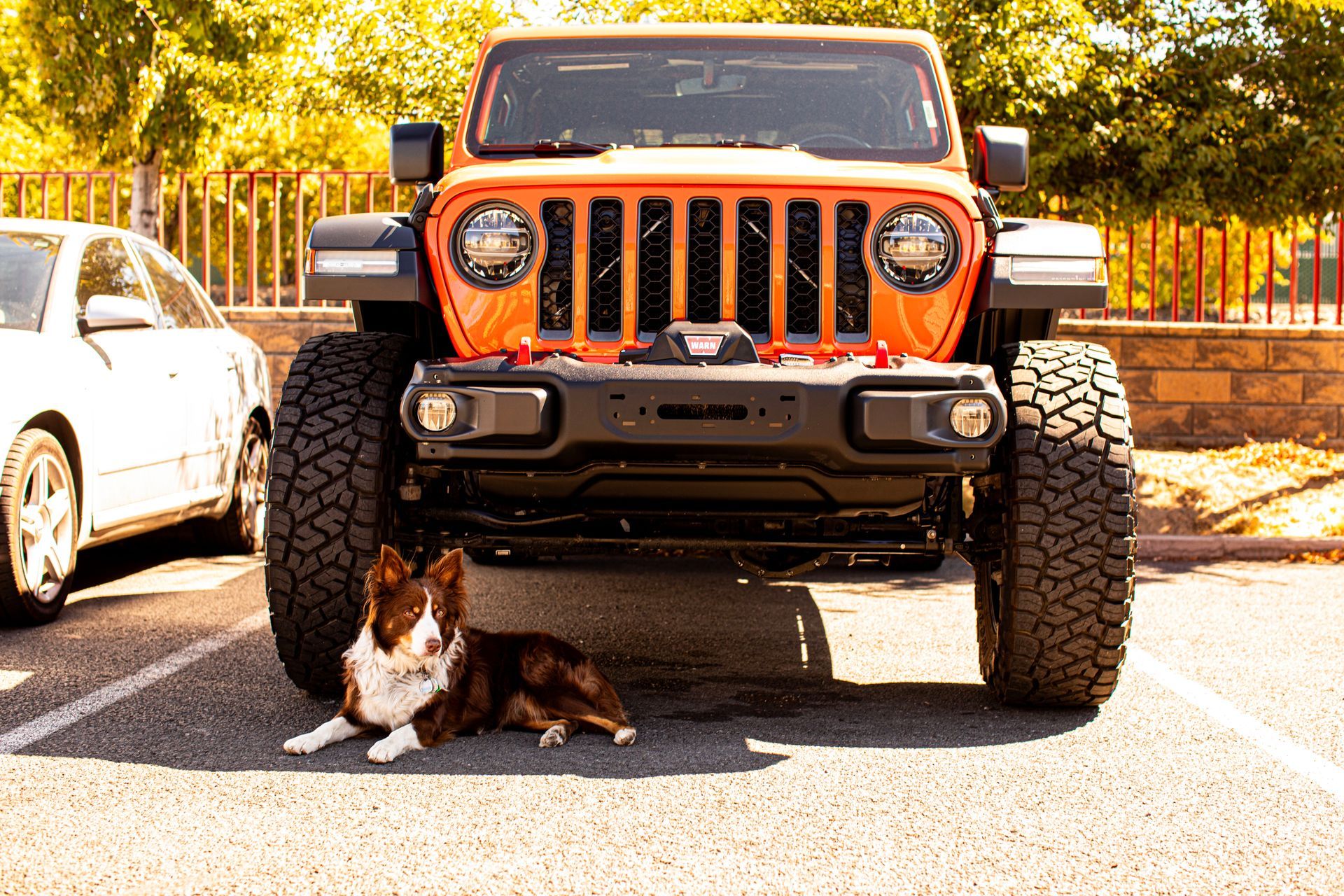 Ceramic Coating Services