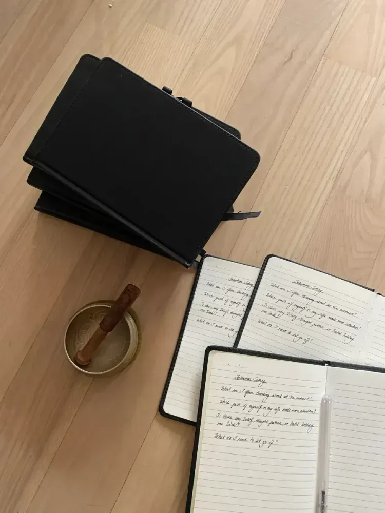 Ohm.Voyage psychedelic integration retreat in the Netherlands