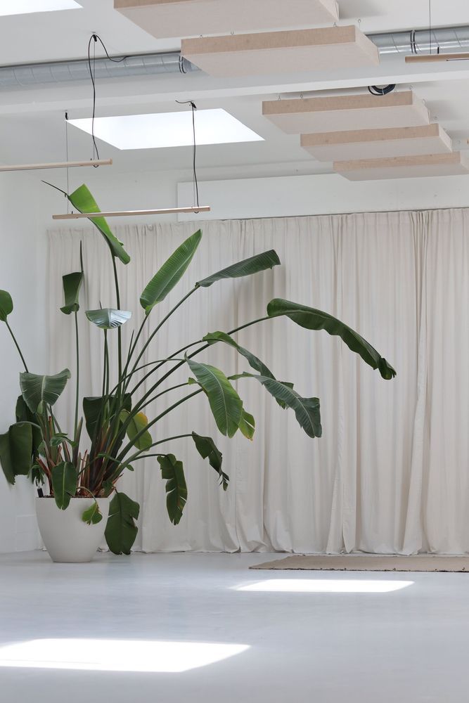 Ohm.Voyage psychedelic integration retreat in the Netherlands