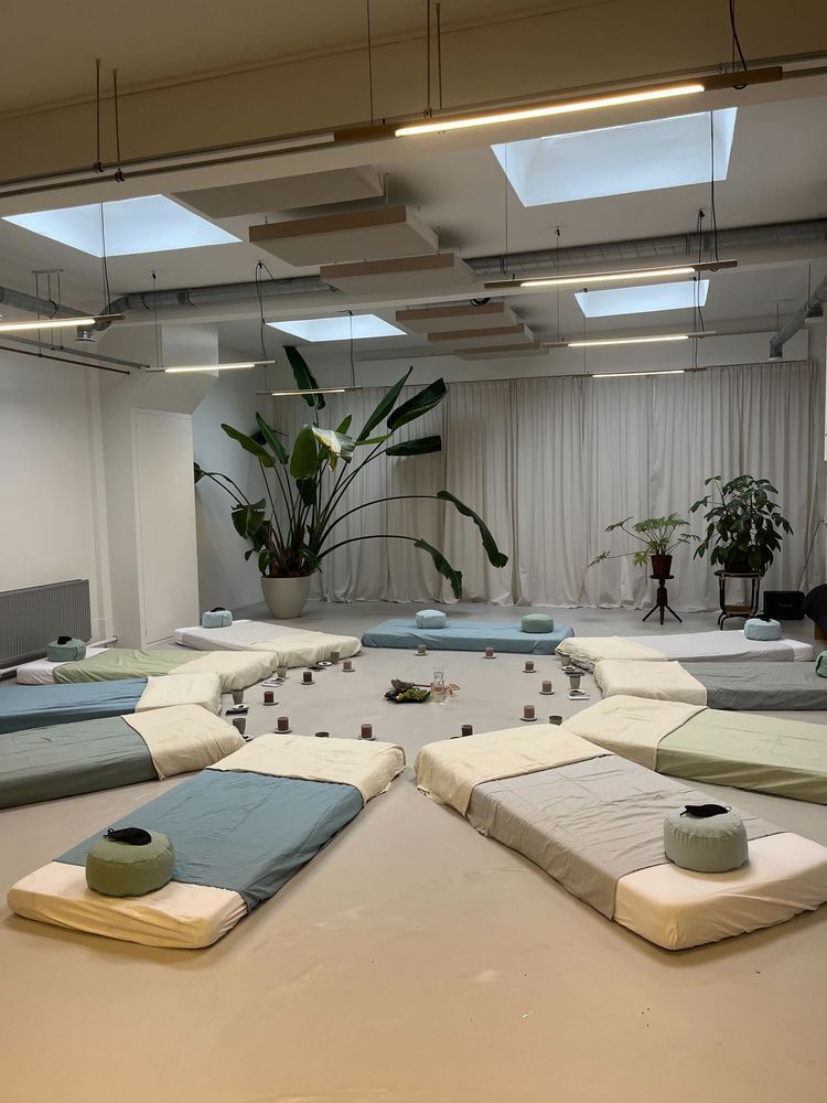 Ohm.Voyage psychedelic integration retreat in the Netherlands