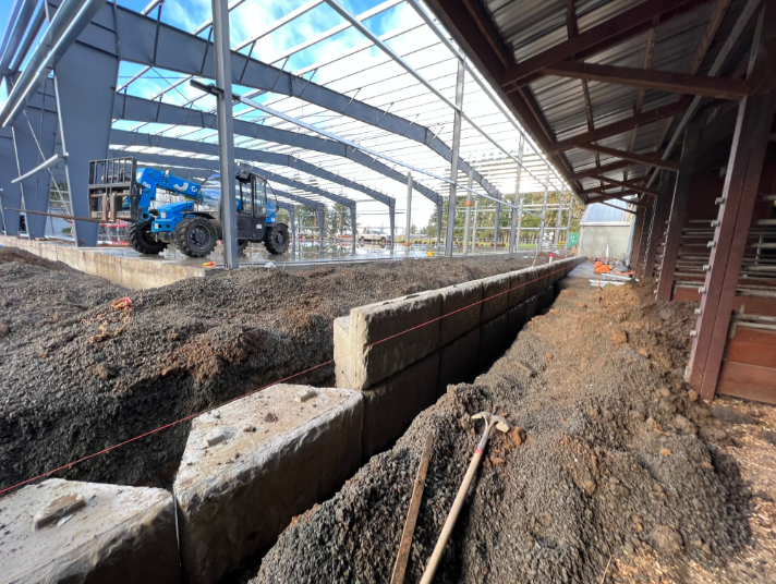 Yellow excavator on a sand pile, digging. Trees and overcast sky in the background.