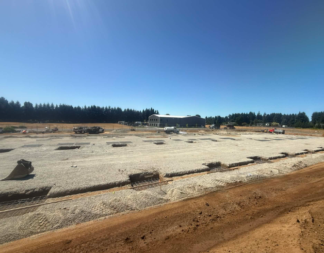 Yellow excavator digging in a dirt area, with trees in the background under a cloudy sky.