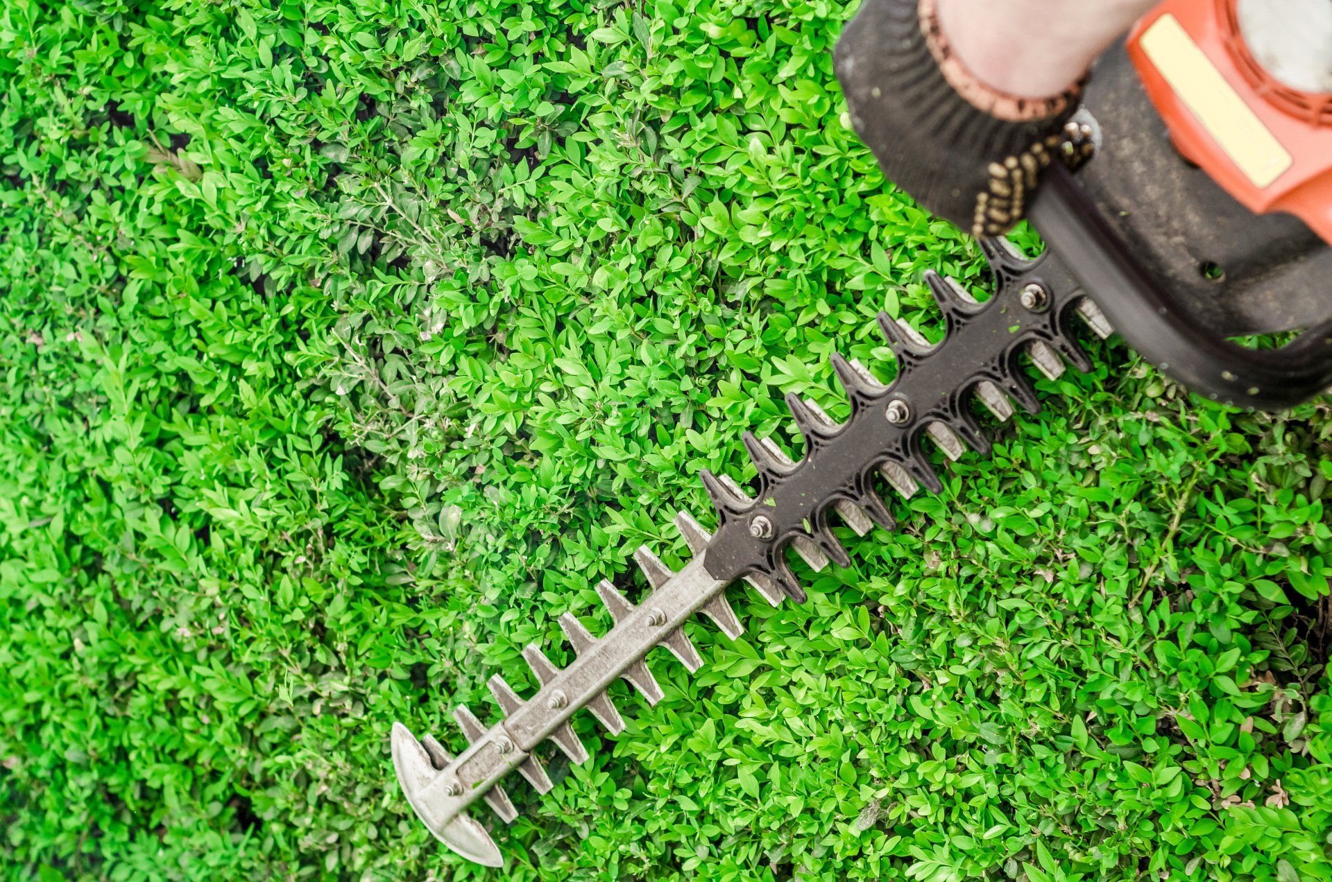 Property Management - Landscaping