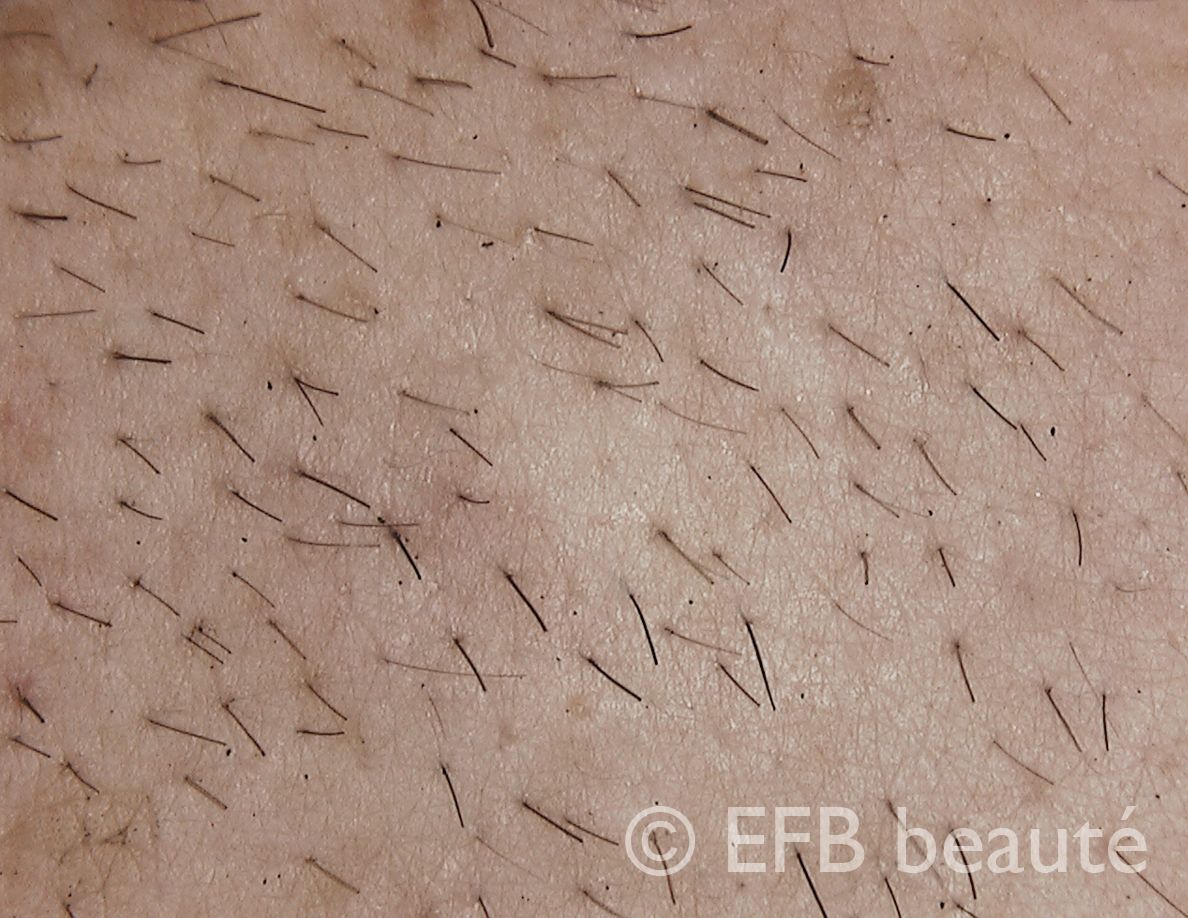 A close up of a person 's hair with the words efb beaute on the bottom