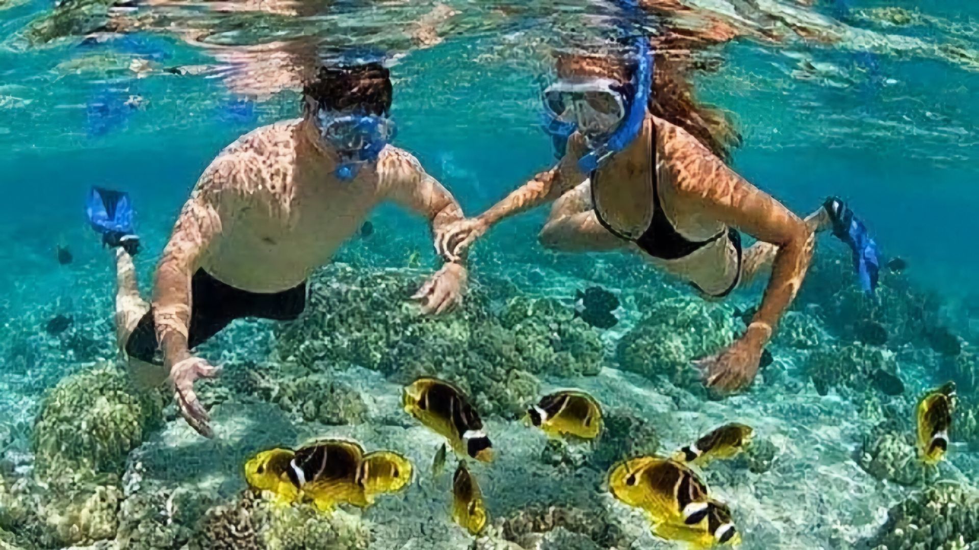 blue lagoon snorkeling