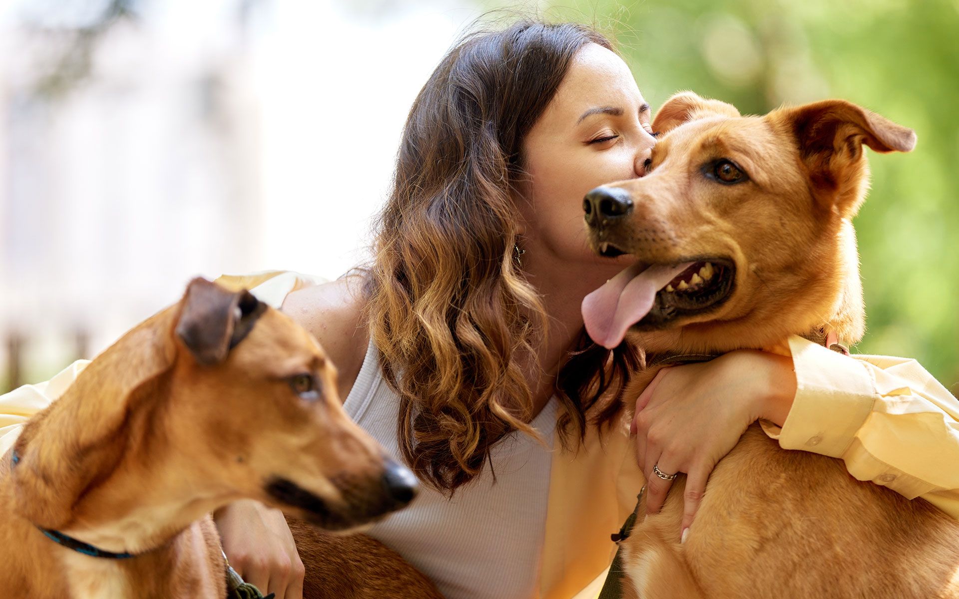 Woman kissing a brown dog, another dog nearby. Outdoors, blurred background.