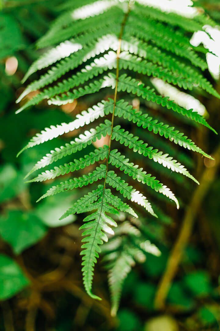 The ultimate Marlborough Sounds experience. Indian Summer charter offers the whole package with the hire of our luxury vessel and private accommodation in our exclusive bay.