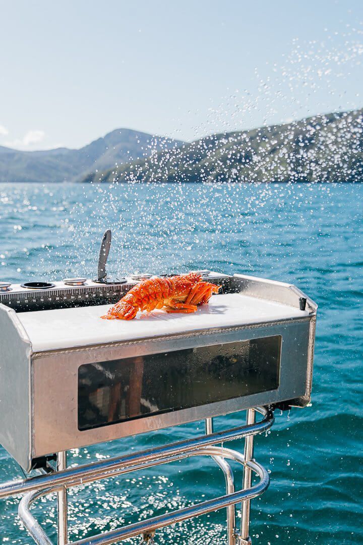The ultimate Marlborough Sounds experience. Indian Summer charter offers the whole package with the hire of our luxury vessel and private accommodation in our exclusive bay.