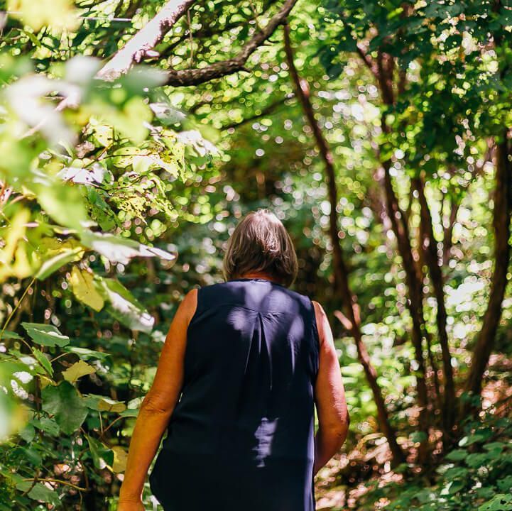 Indian Summer in the Marlborough sounds NZ