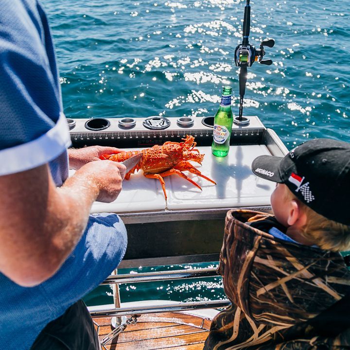 Indian Summer in the Marlborough sounds NZ