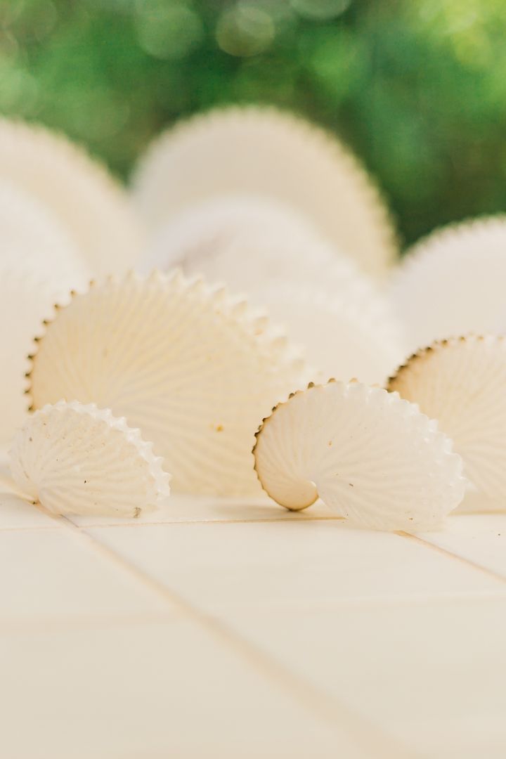 The ultimate Marlborough Sounds experience. Indian Summer charter offers the whole package with the hire of our luxury vessel and private accommodation in our exclusive bay.