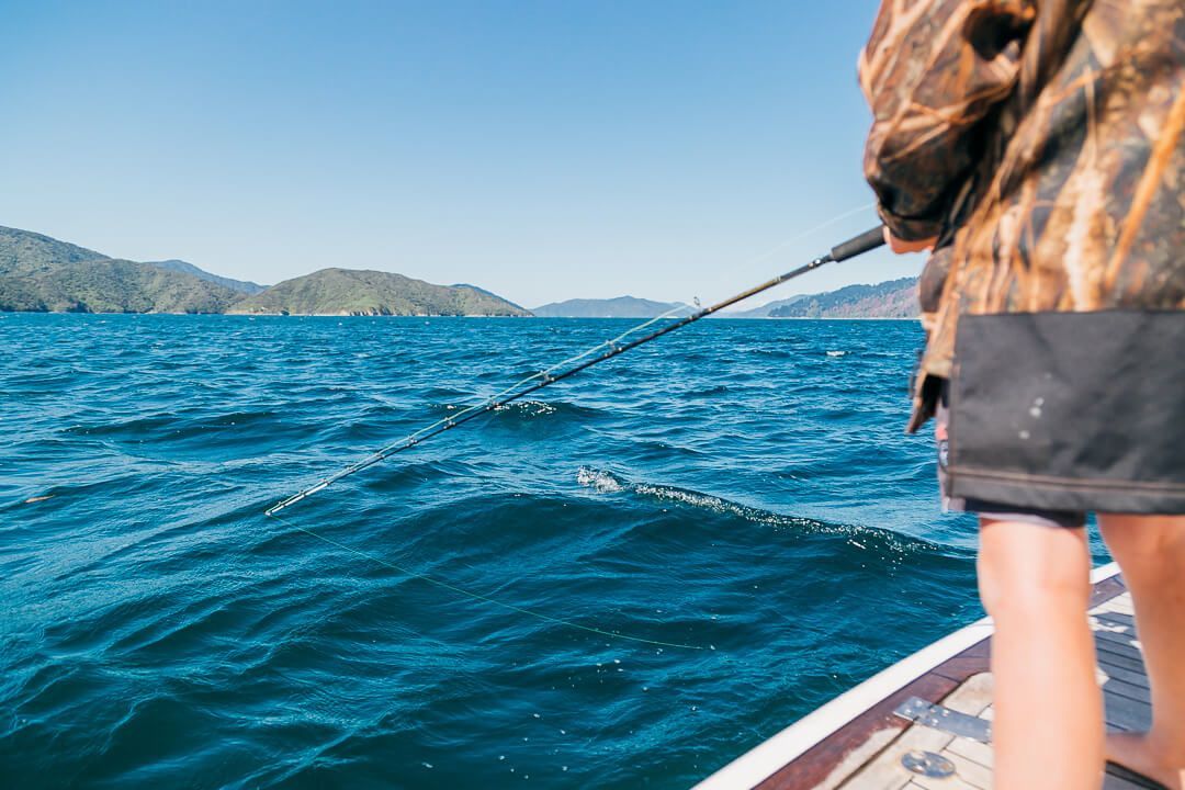 The ultimate Marlborough Sounds experience. Indian Summer charter offers the whole package with the hire of our luxury vessel and private accommodation in our exclusive bay.