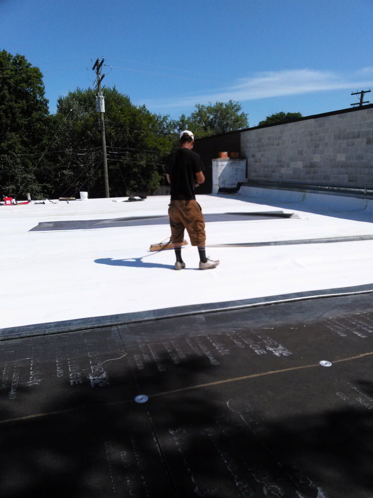 tpo roof system