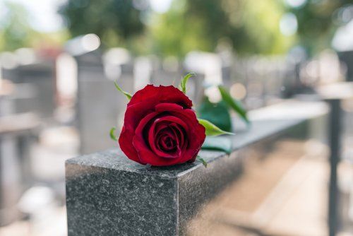 Rosa rossa su una lapide grigia in uno sfondo cimiteriale sfocato.