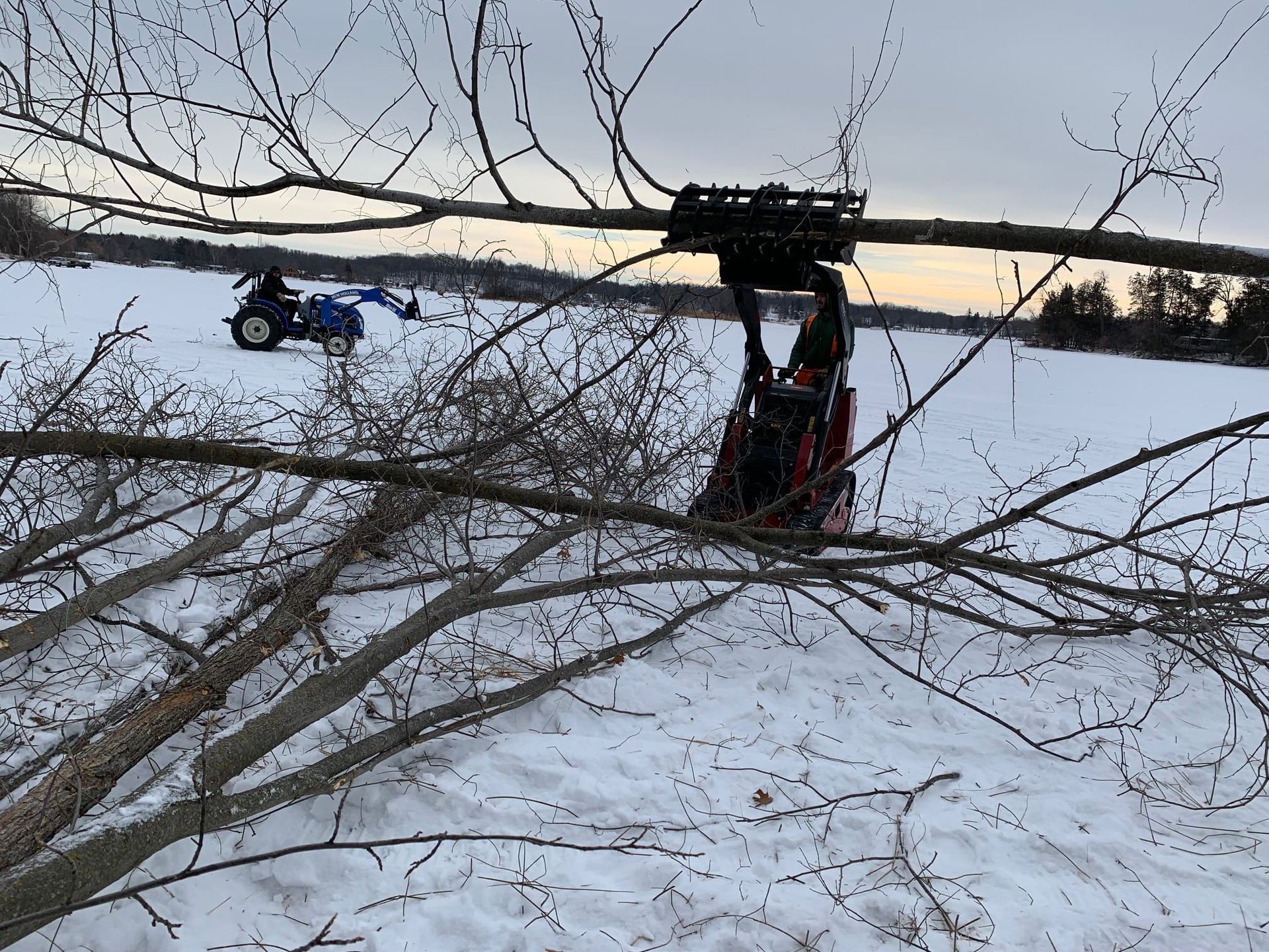 Skid steer with grapple cutting tree branch, snowy field. Another vehicle in background. Overcast sky.