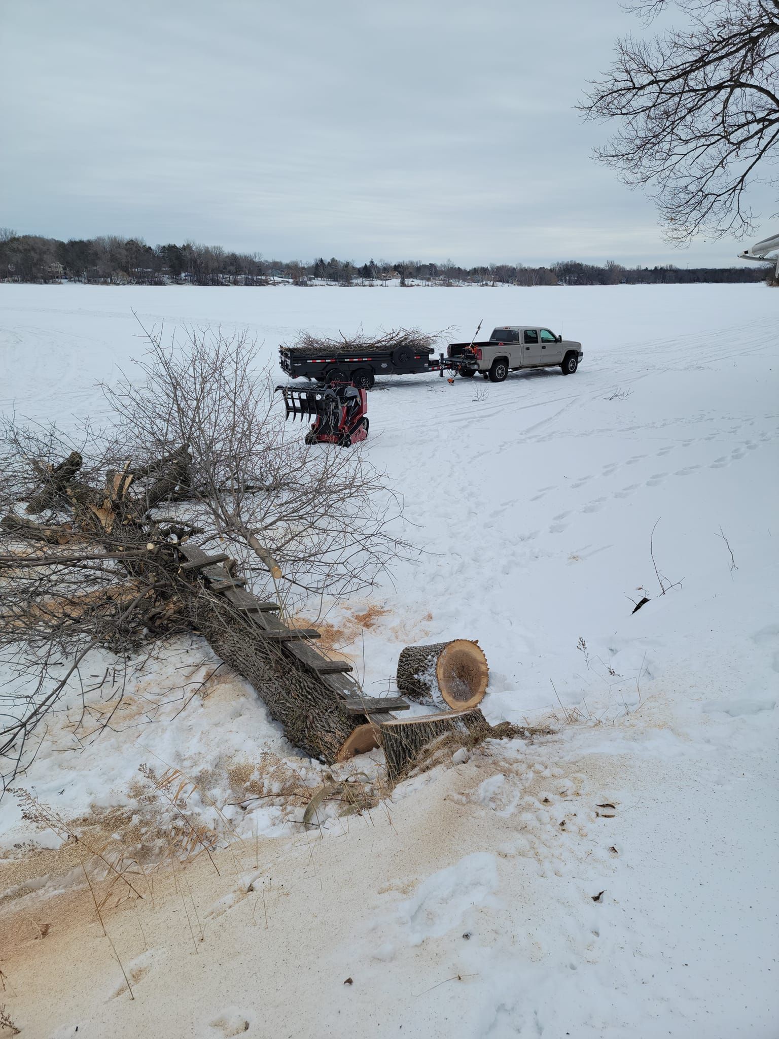 A felled tree lies in snow, with a truck and trailer collecting branches in a field.