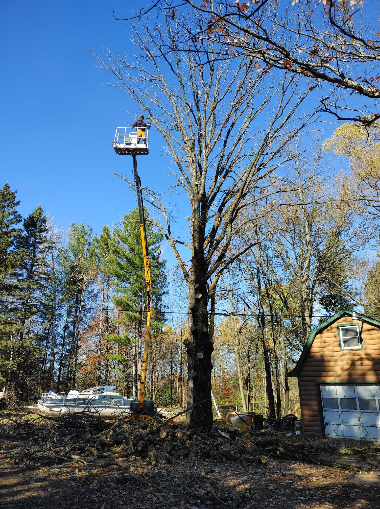 A person in a lift trimming a tall tree with bare branches, near a garage and boats, under a blue sky.