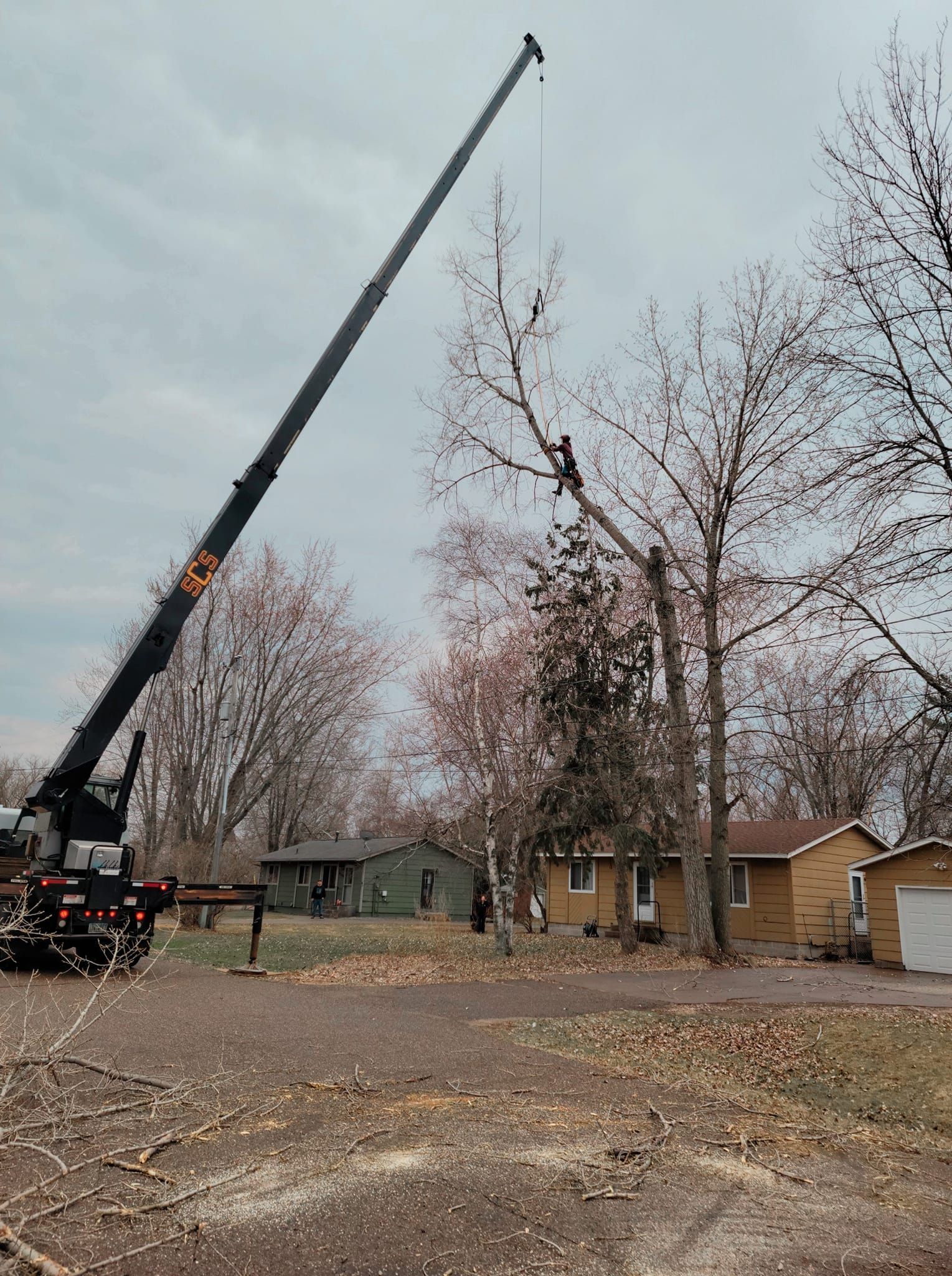 Crane trimming a tall tree near houses on a cloudy day.