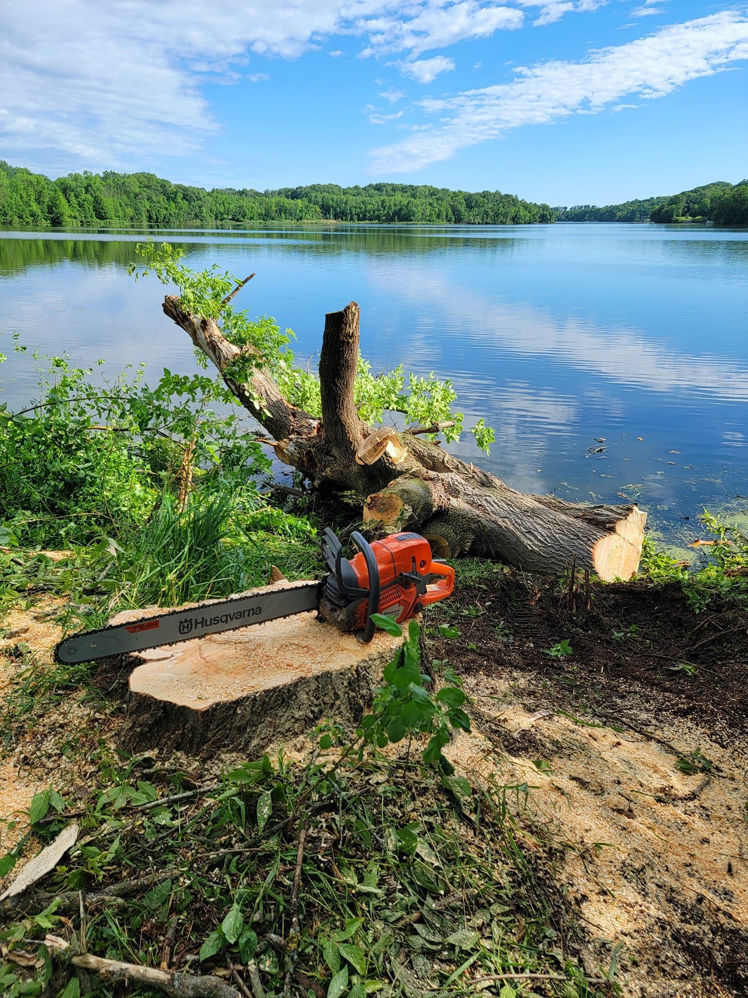 Chainsaw on log by lake, fresh cut with sawdust, blue sky, trees in background.