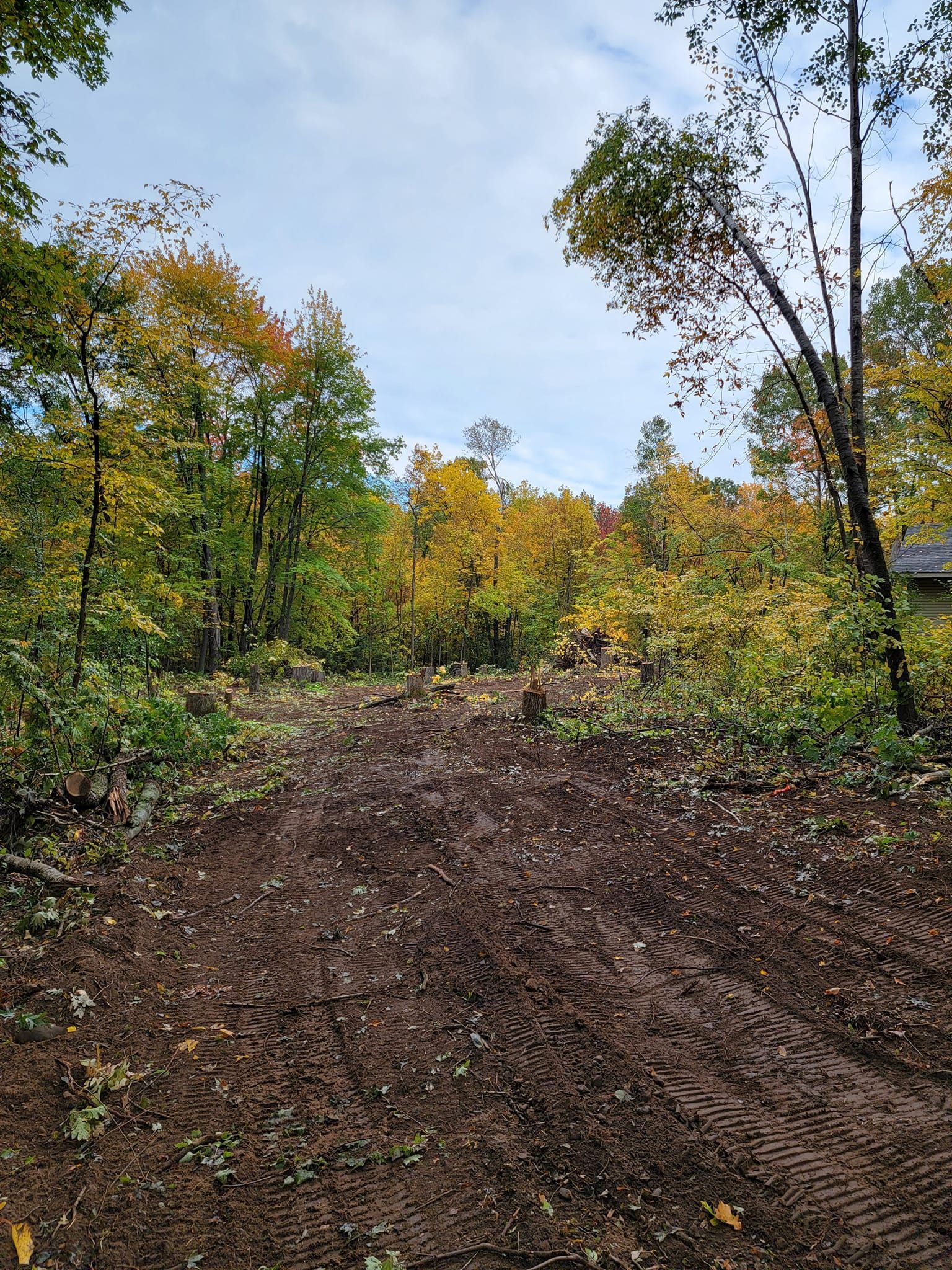 Dirt path leading into colorful autumn trees under a cloudy sky.