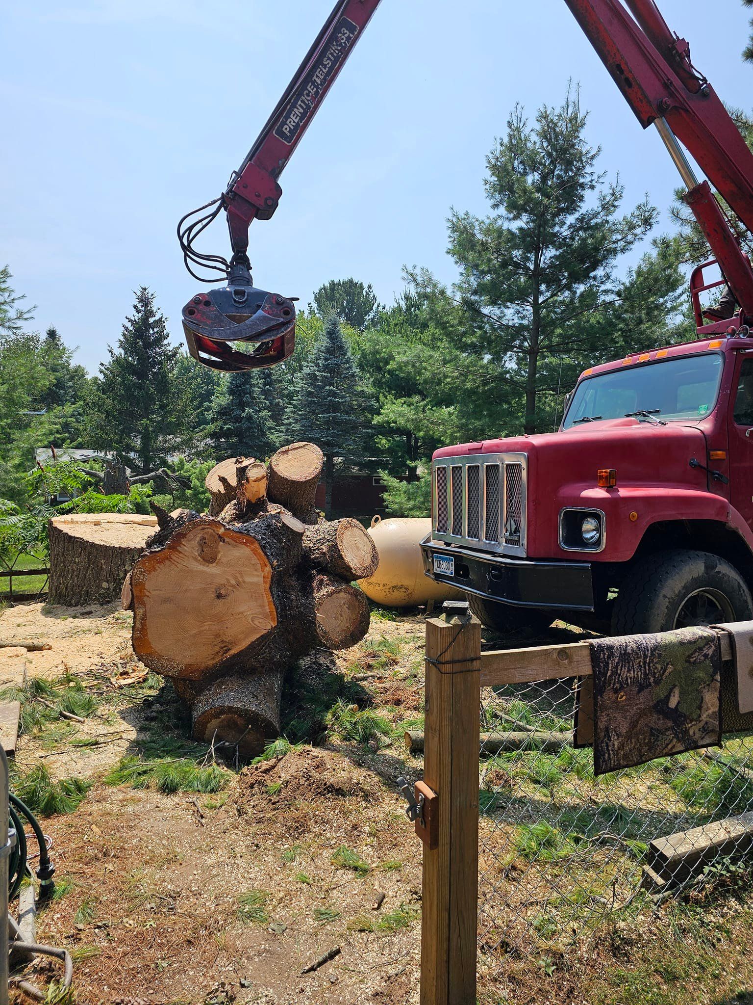 A large tree trunk being lifted by a red crane truck on a sunny day.