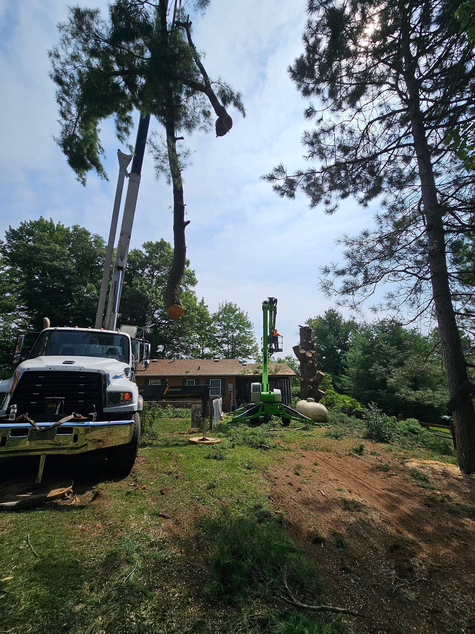 Truck with lift arm removing a tall tree near a house on a sunny day.