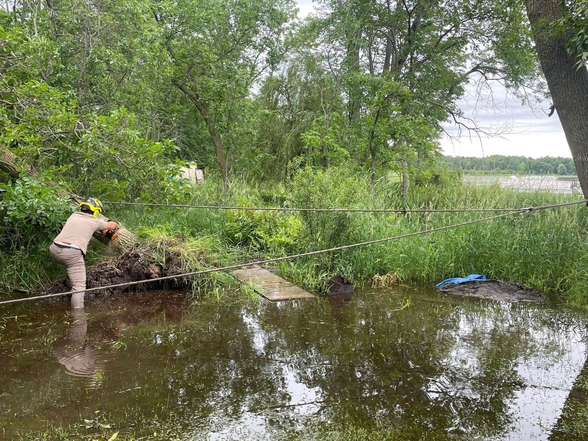 Person in waders clearing debris from flooded area with overgrown vegetation and trees.