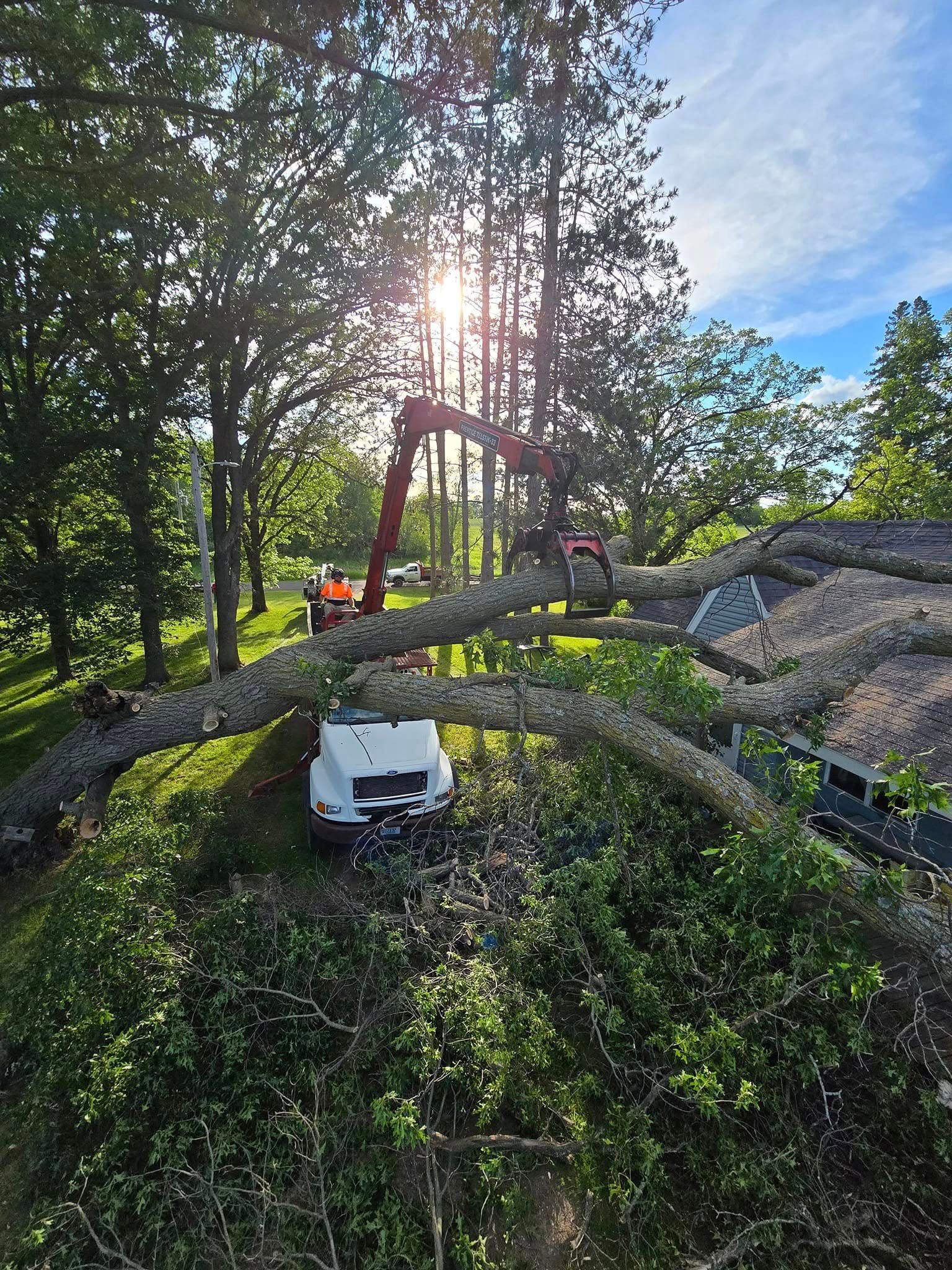 Tree removal using an industrial crane. The tree is over a white truck and a house roof. Bright sunlight.