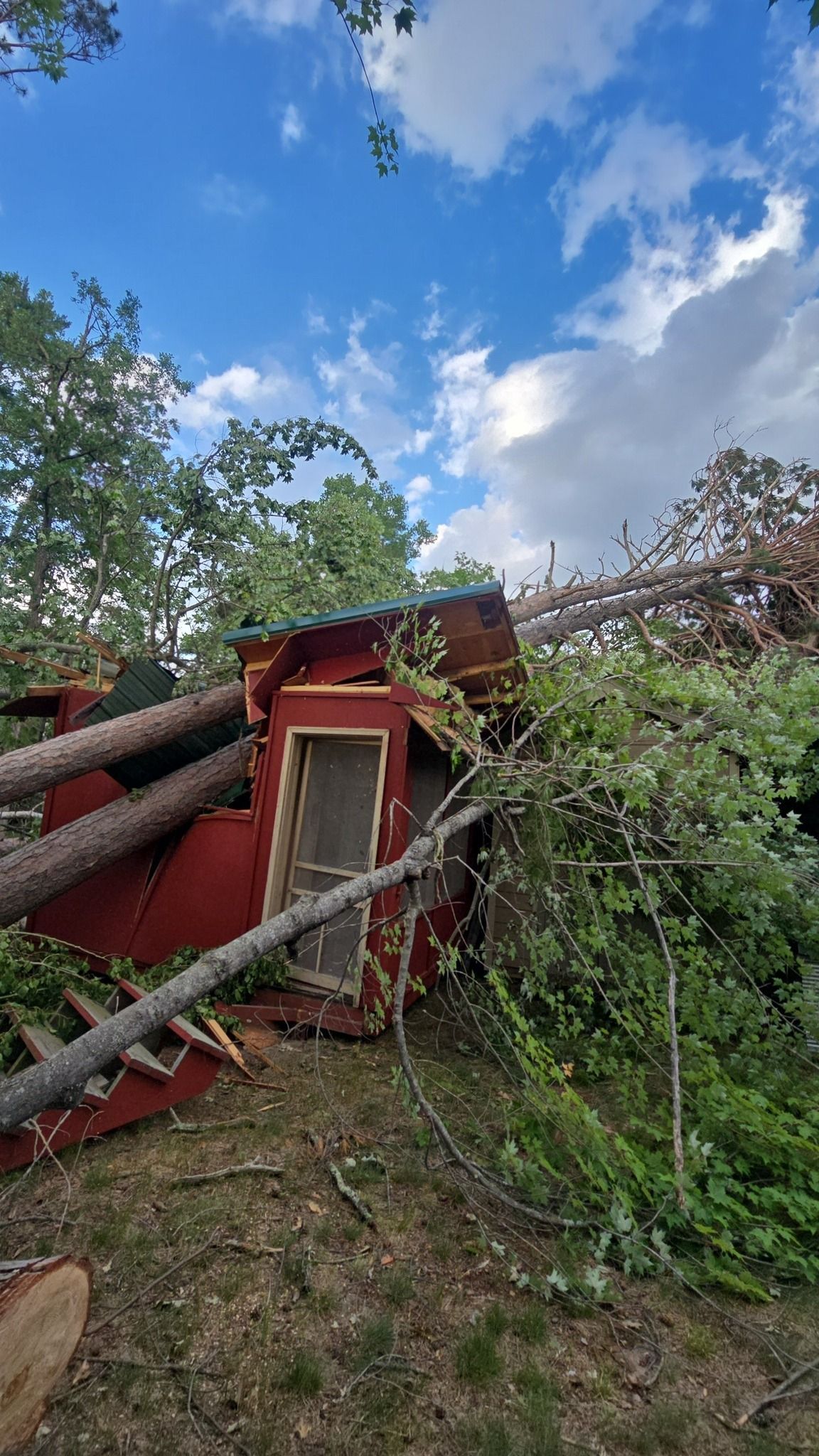 A red shed crushed by fallen trees with a partly cloudy sky overhead.