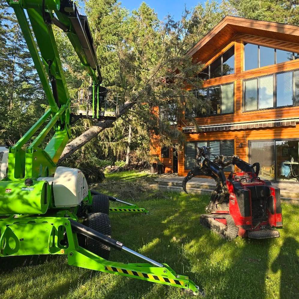 Green lift and red mini excavator working on a tree near a wood-sided house.