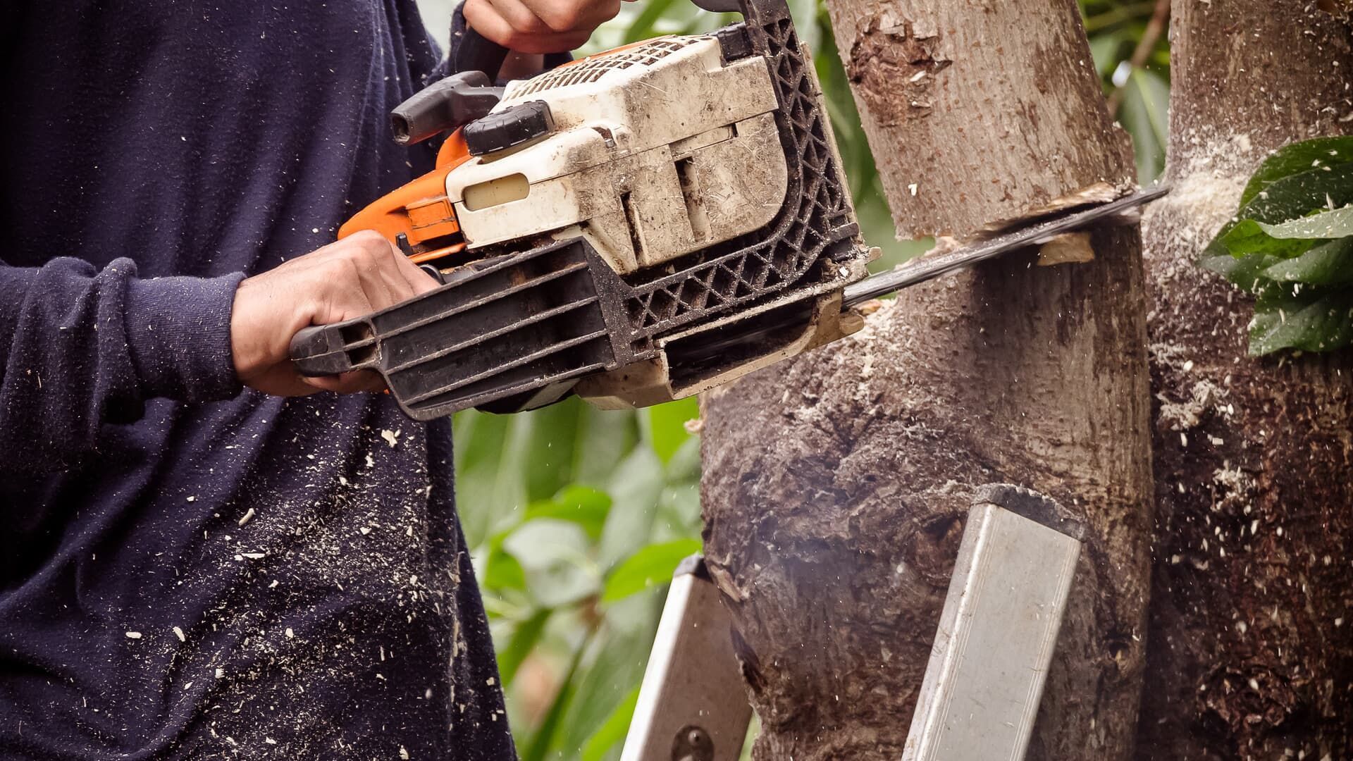 Person using chainsaw to cut a tree trunk; wood chips flying.