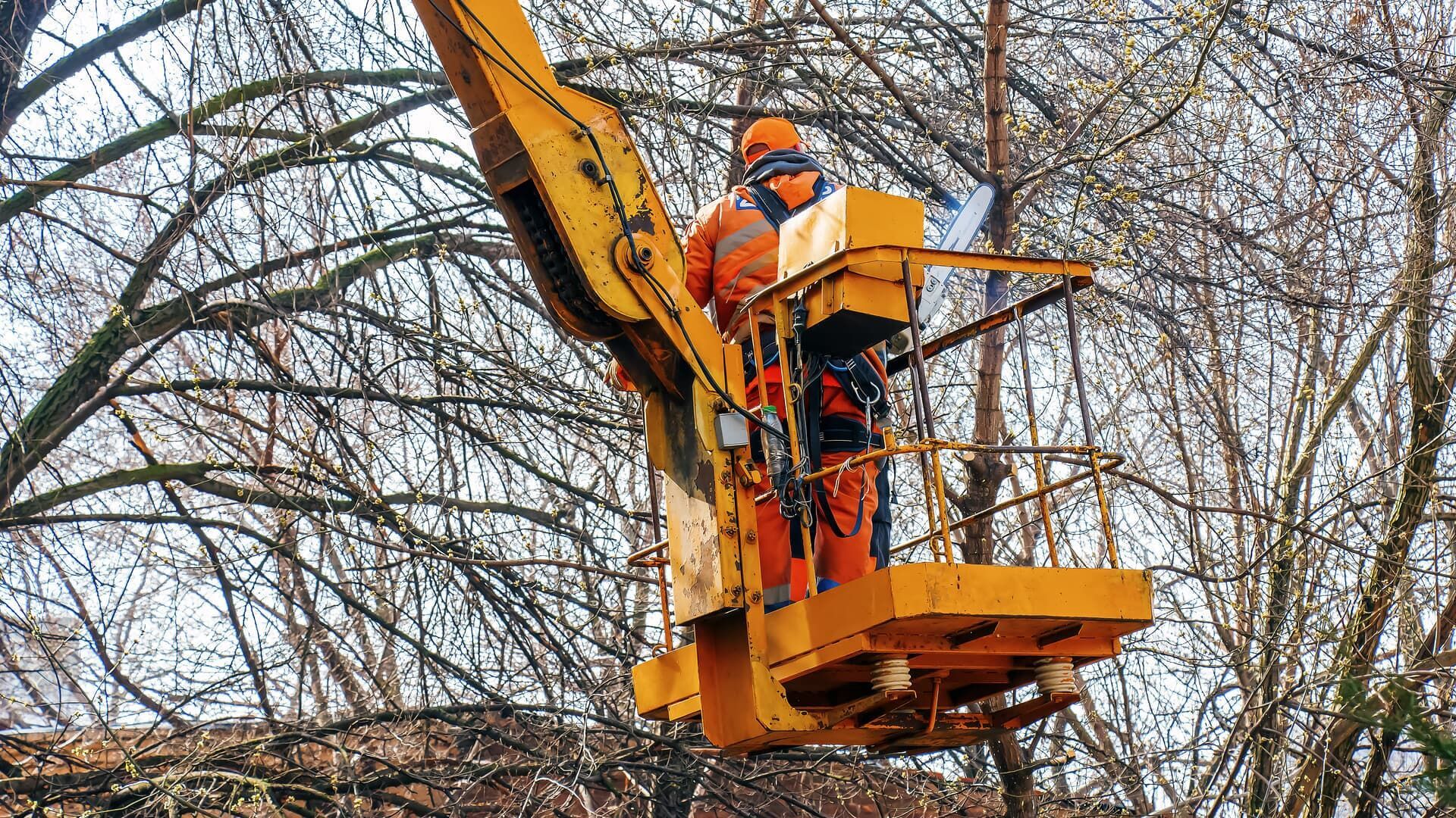 Arborist in orange jumpsuit trimming tree branches from a yellow lift in a wooded area.