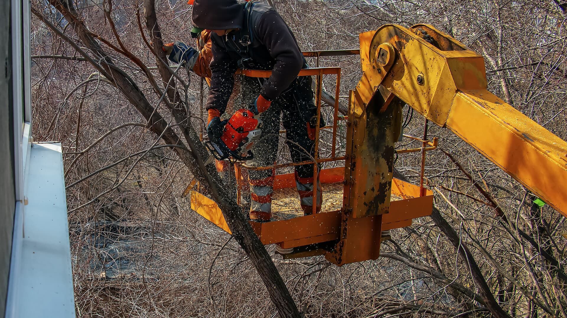 Person using a chainsaw in a cherry picker to trim tree branches. Orange bucket and lift. Snow flurries.