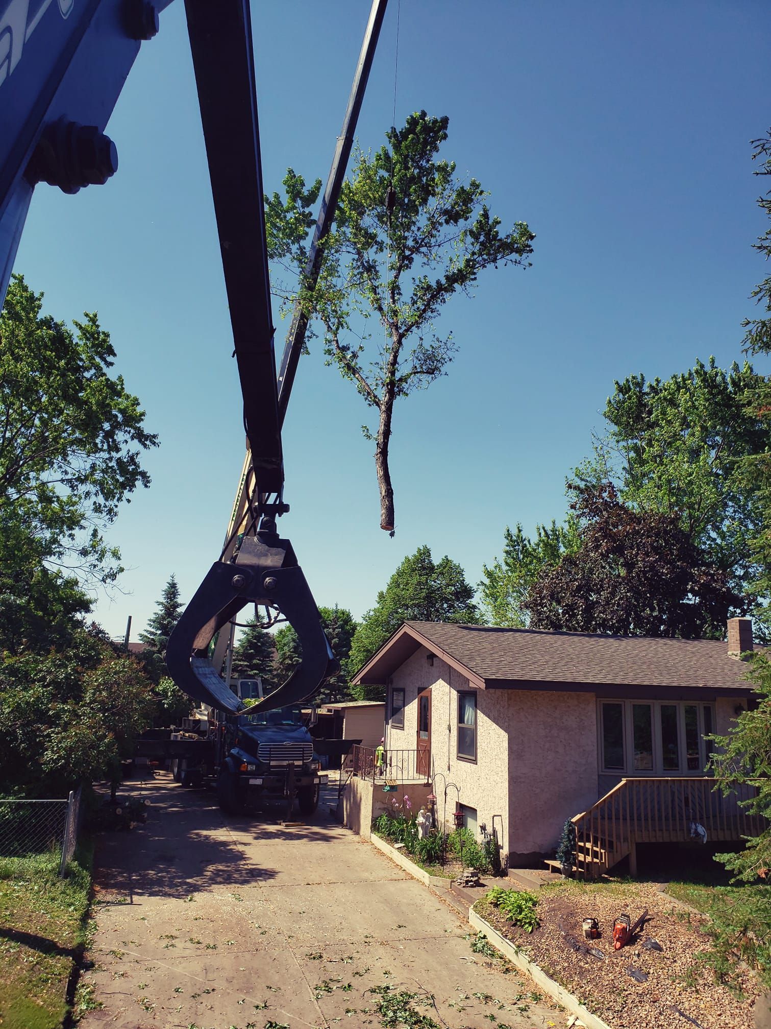 A tree being lifted by a crane over a house; blue sky in background.