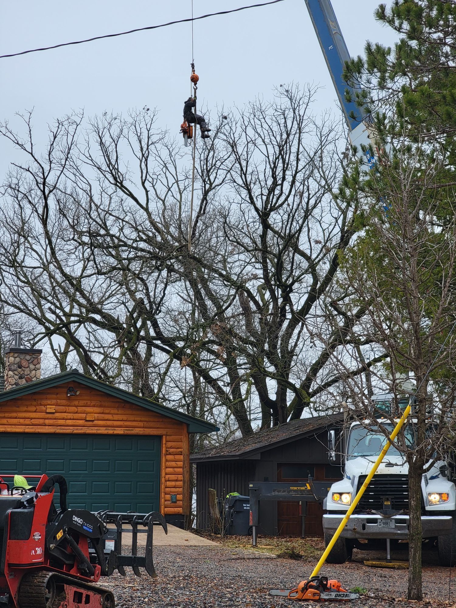 Man suspended on rope trimming a tree near a garage and utility truck. Overcast sky.
