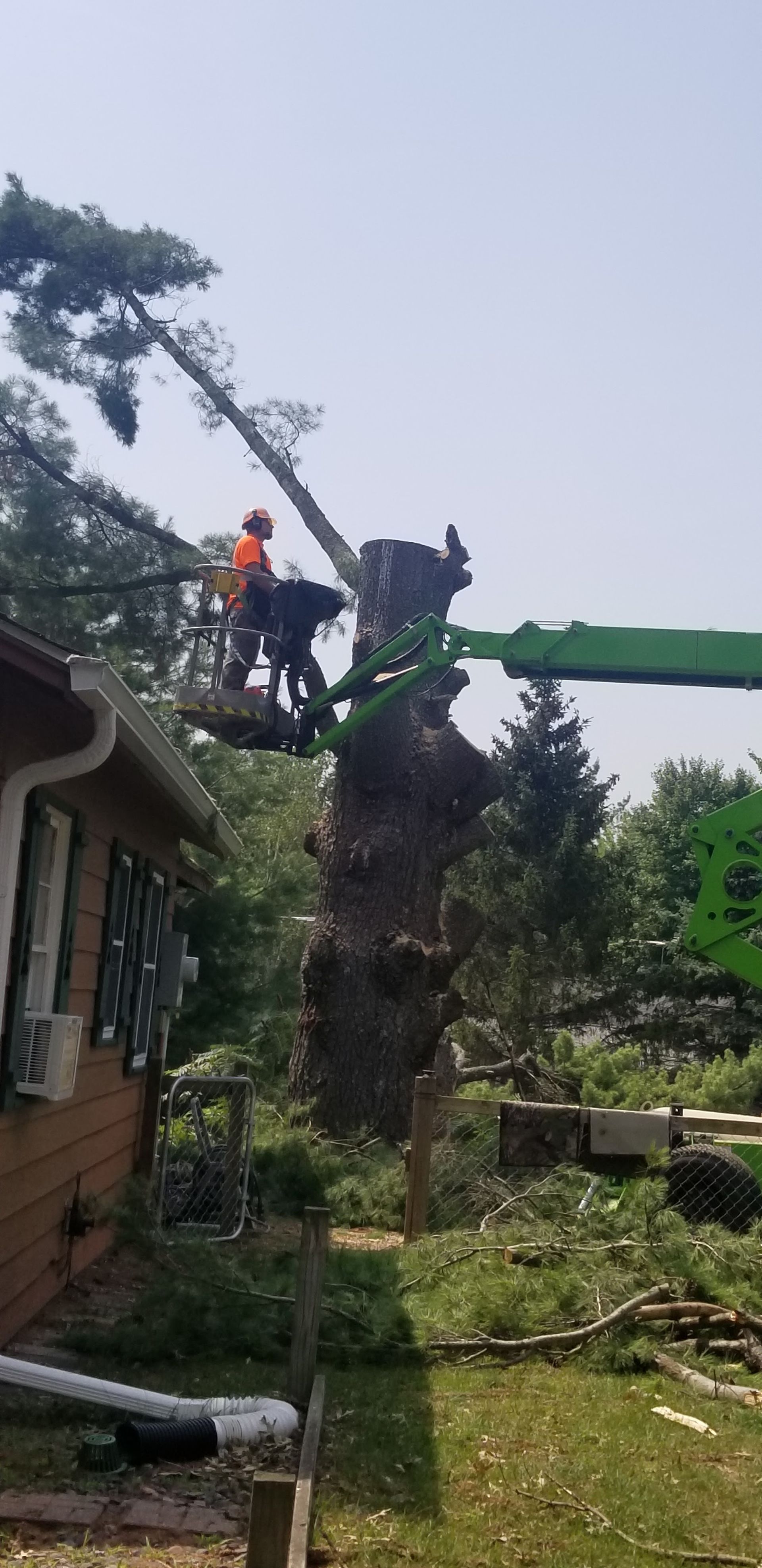 A tree is being cut down. A worker on a lift cuts branches. A house is nearby.