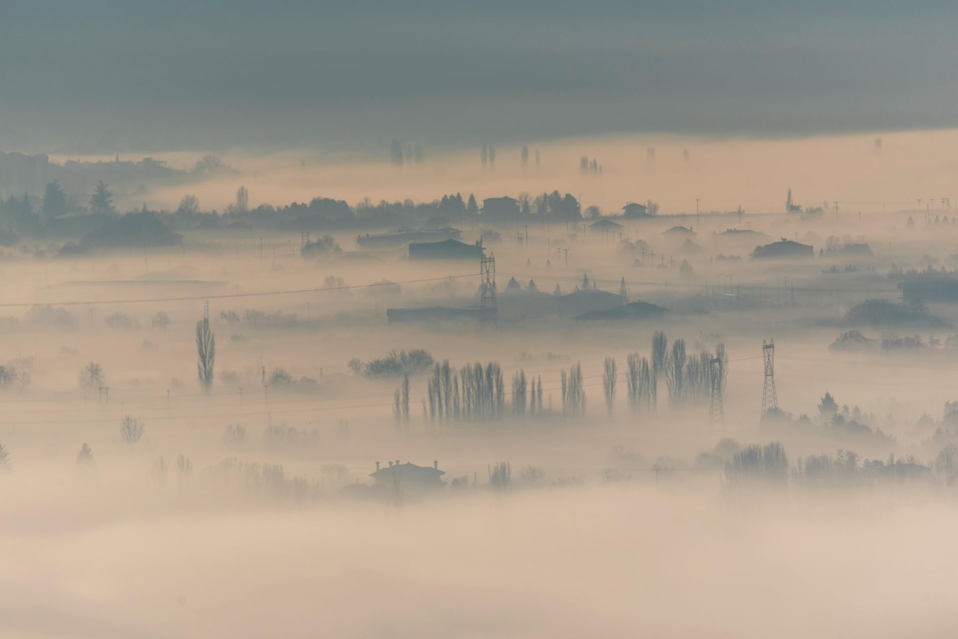 Foggy landscape with trees, buildings, and structures peeking through the mist. Overcast sky.