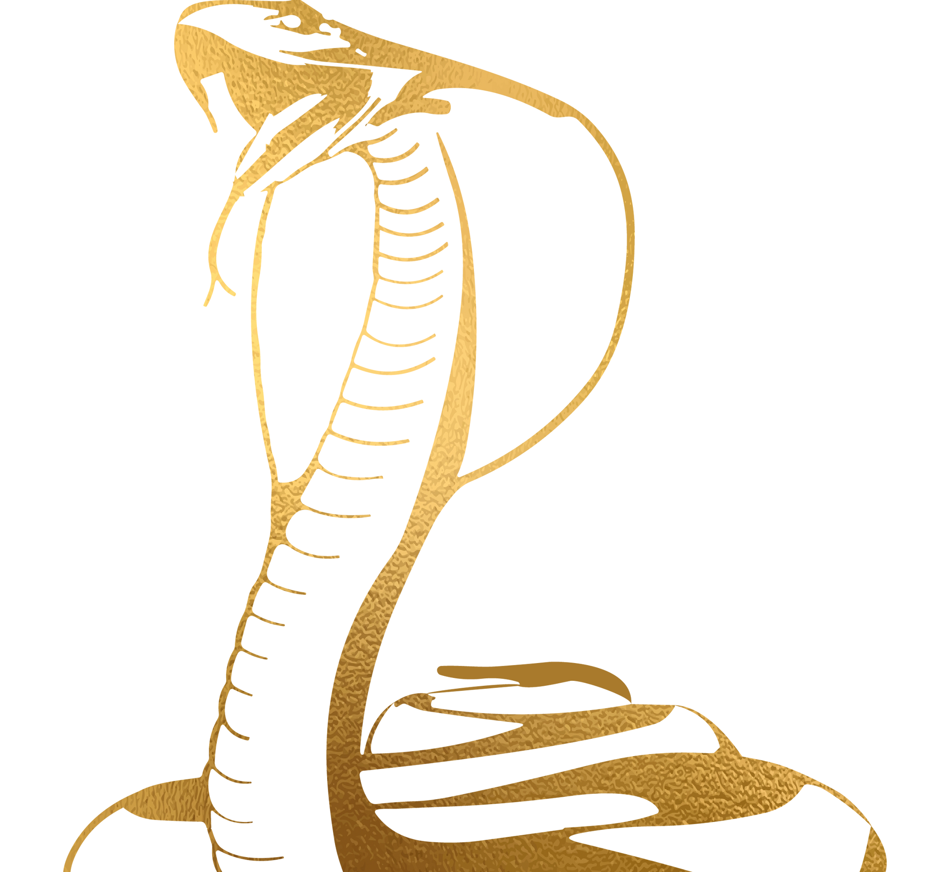 Cobra Concrete Cutting Services logo of a bronze cobra