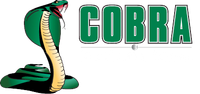 A green snake with the word cobra on it