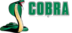 A green snake with the word cobra on it