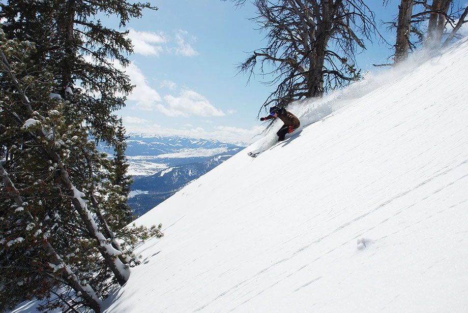 Skifahrer ausserhalb der Piste mit Bäumen voller Schnee